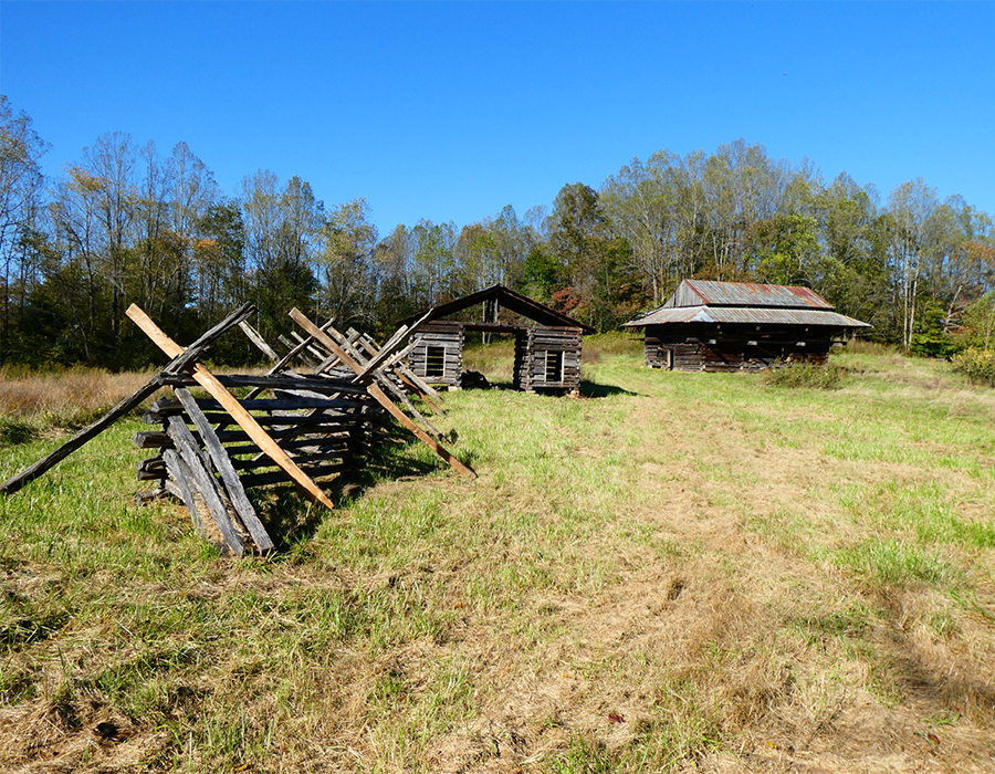 preserve image Preservation site image